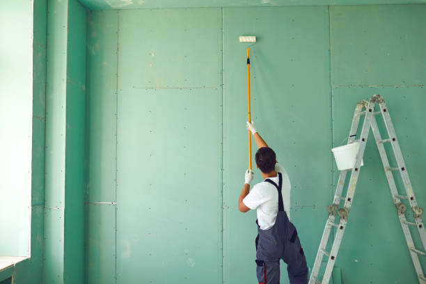 Best Black Mold Removal  in Richland, GA