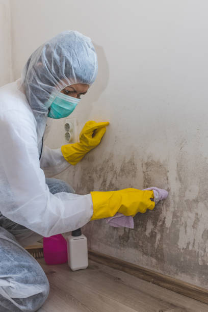 Best Commercial Mold Inspection  in Richland, GA