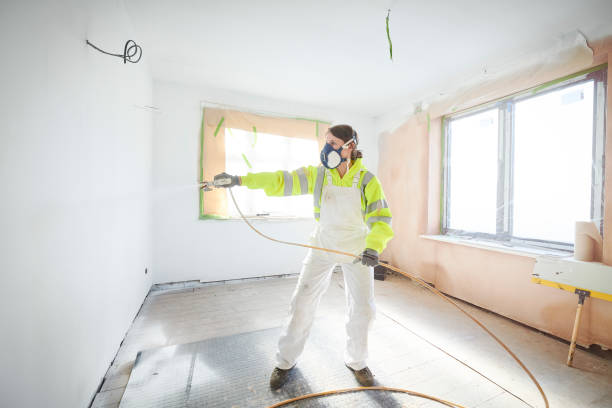 Best Mold Damage Restoration  in Richland, GA