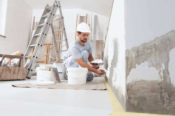  Richland, GA Mold Removal Pros