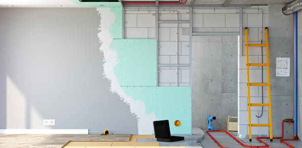 Best Mold Remediation for Healthcare Facilities  in Richland, GA