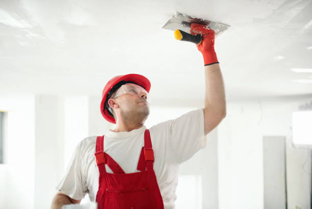 Best Mold Damage Restoration  in Richland, GA