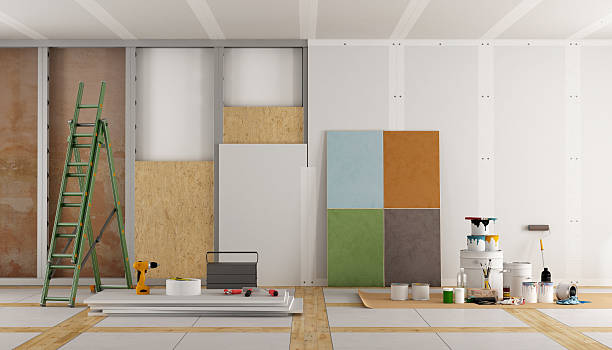 Best Basement Mold Removal  in Richland, GA