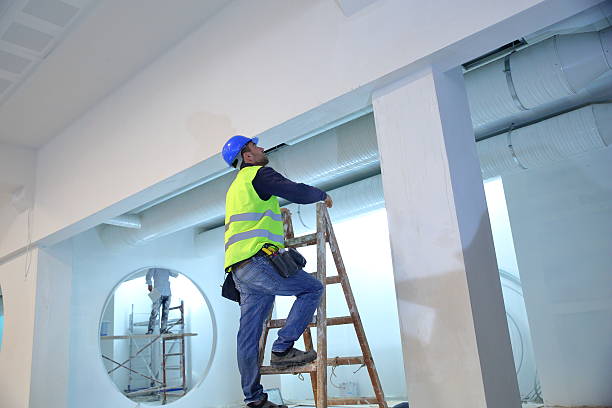 Best Emergency Mold Remediation  in Richland, GA