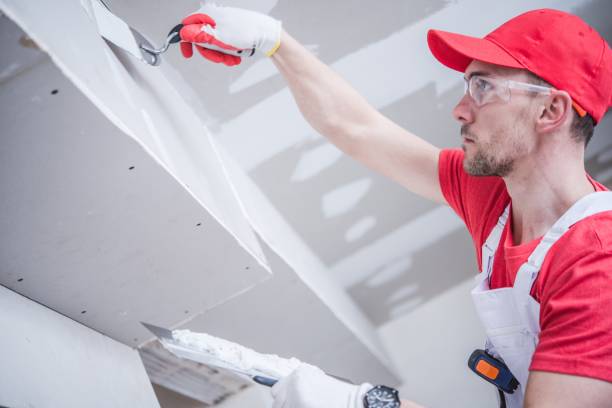 Best Industrial Mold Remediation  in Richland, GA